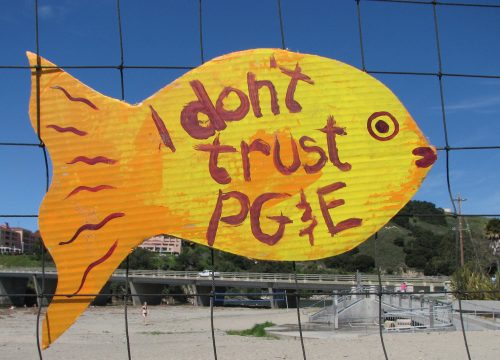 Avila-Protest-donttrustpge